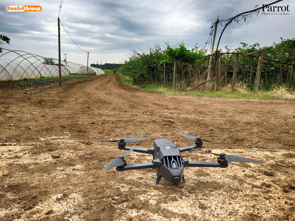 Azienda Agricola Cascia Giorgio Cascia Giorgio drone