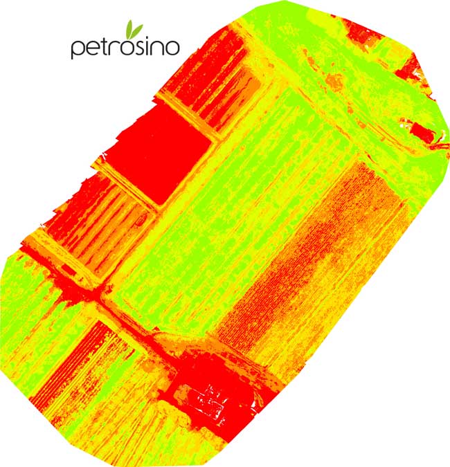 NDVI petrosino