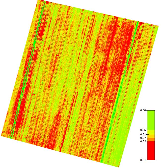 NDVI porto felloni NDVI porto felloni