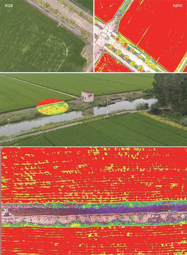 PH 4 RTK 2 NDVI