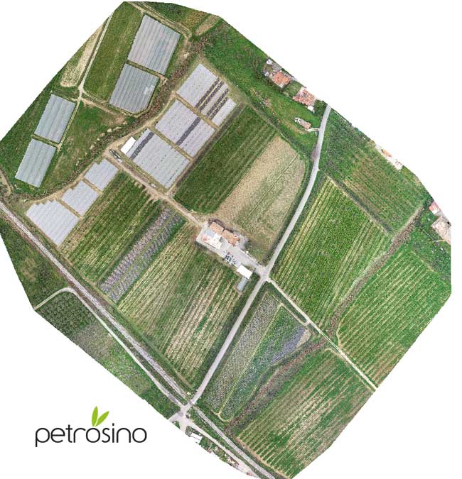 RGB petrosino 2