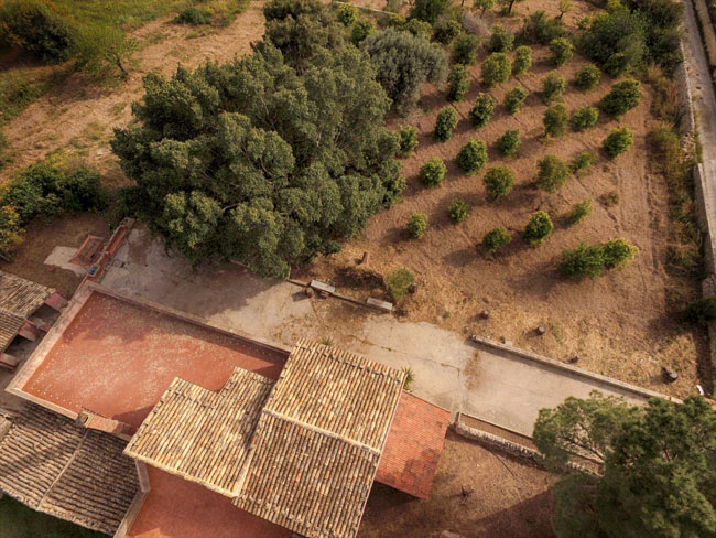 Volo Ortofoto volo DJI 0403