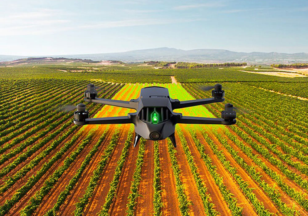 parrot bluegrass ndvi