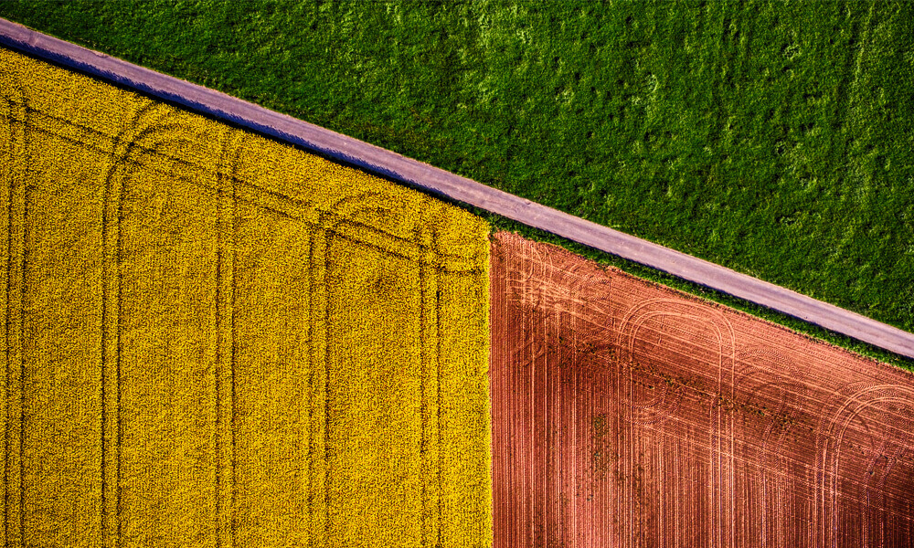 agricoltura precisione parrot parrot sequoia plus agricoltura precisione parrot parrot sequoia plus