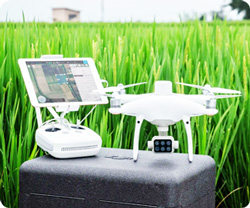 250 drone agricoltura