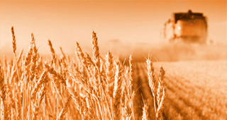 NOVA AGRICOLTURA IN CAMPO CREA FOGGIA