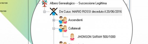 Successioni e Volture  | / 1 Anno